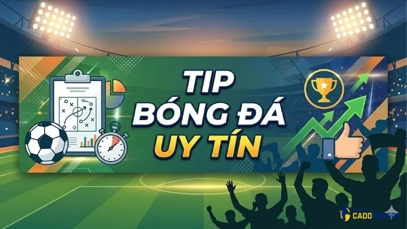 cach-doc-tip-bong-da-uy-tin-de-tranh-bay-keo