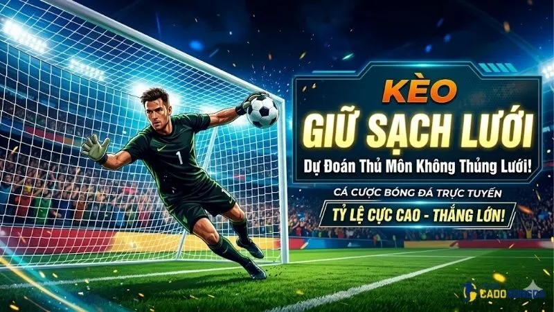 keo-giu-sach-luoi-la-gi-va-vi-sao-duoc-quan-tam