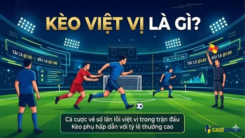keo-viet-vi-la-gi-va-cach-hoat-dong-trong-ca-cuoc