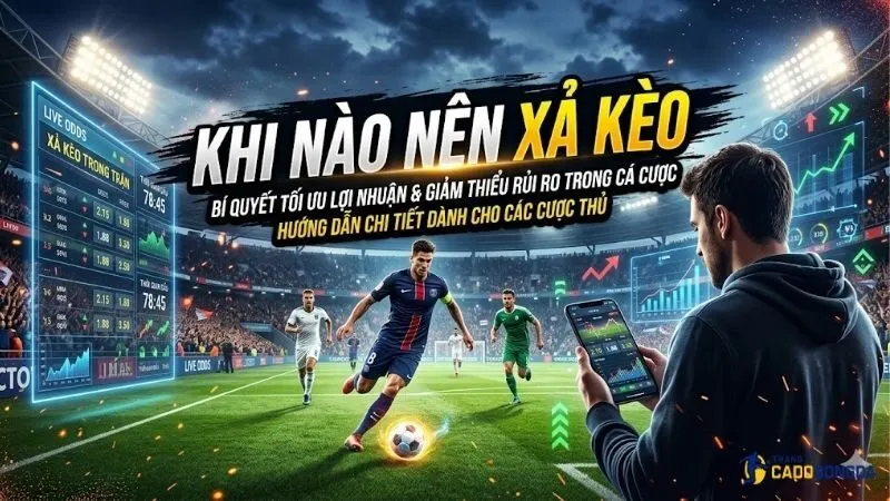 khi-nao-nen-xa-keo-de-tranh-thua-lo-keo-dai